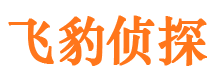 南雄市调查公司